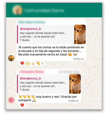 Mensaje enviado por una integrante de la comunidad de Firus