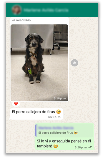 Mensaje sobre El Perro Callejero de Firus