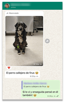Mensaje sobre El Perro Callejero de Firus