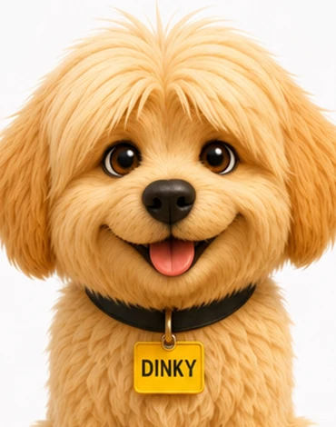 Dinky