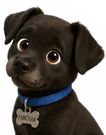 Panchán